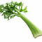 芹菜